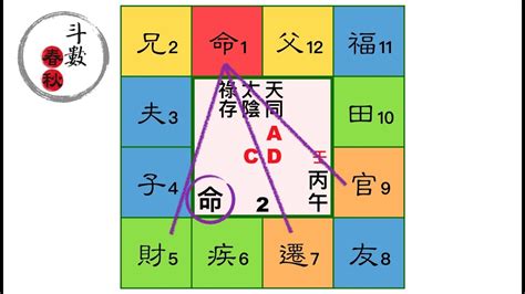 五宮飛三宮|【飛入宮位】揭開紫微鬥數密碼：飛入宮位解讀人生軌跡